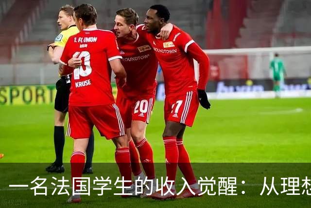 一名法国学生的收入觉醒：从理想主义到现实主义的转变