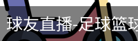 球友直播-足球篮球体育直播平台